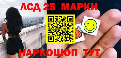 амф Владимир