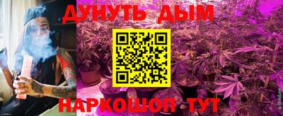 амф Владимир