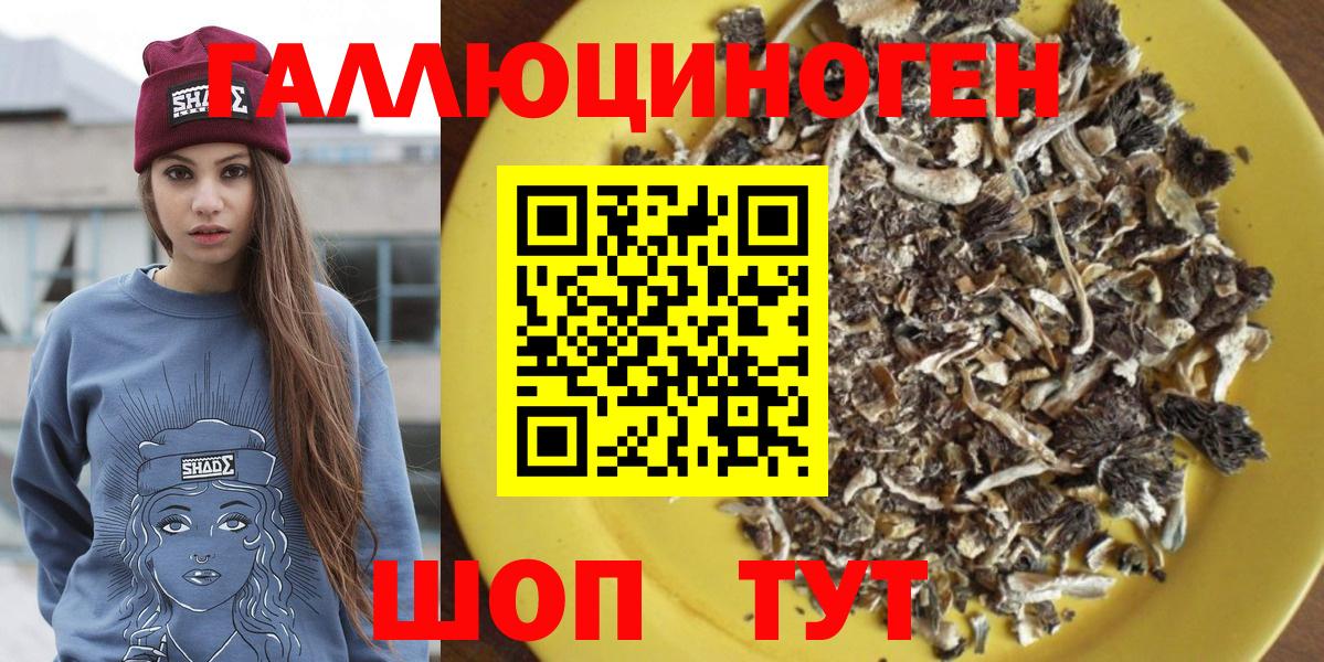 Псилоцибиновые грибы Psilocybine cubensis Аргун